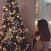 sophiafan8